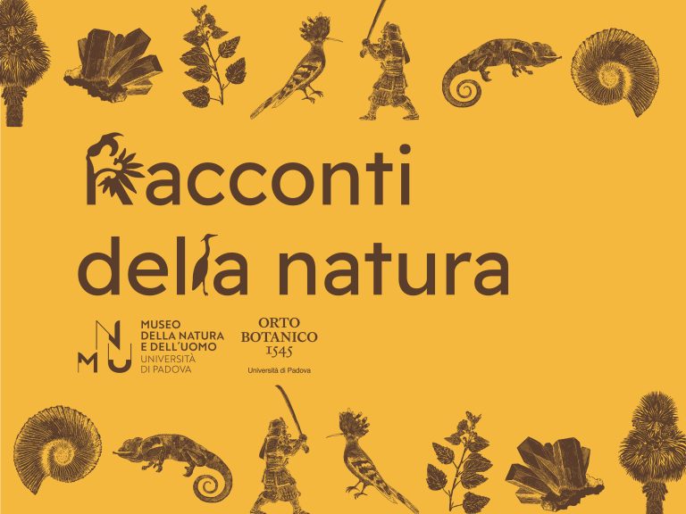 rdn-museo-della-natura-e-delluomo