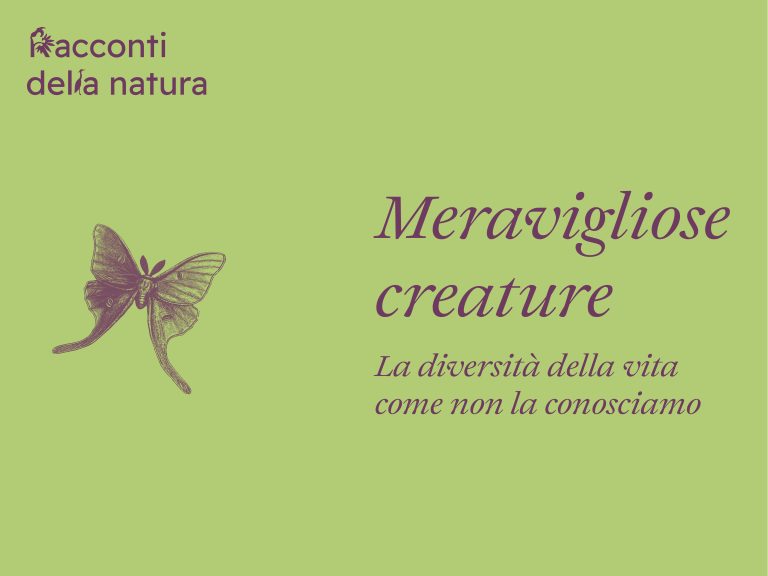 meravigliose-creature-visitmnu