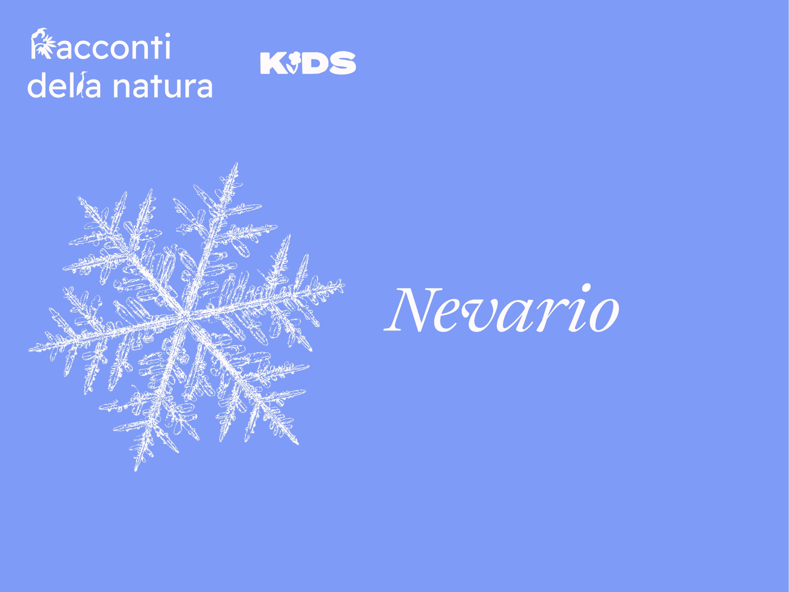 fiocco di neve - racconti della natura kids