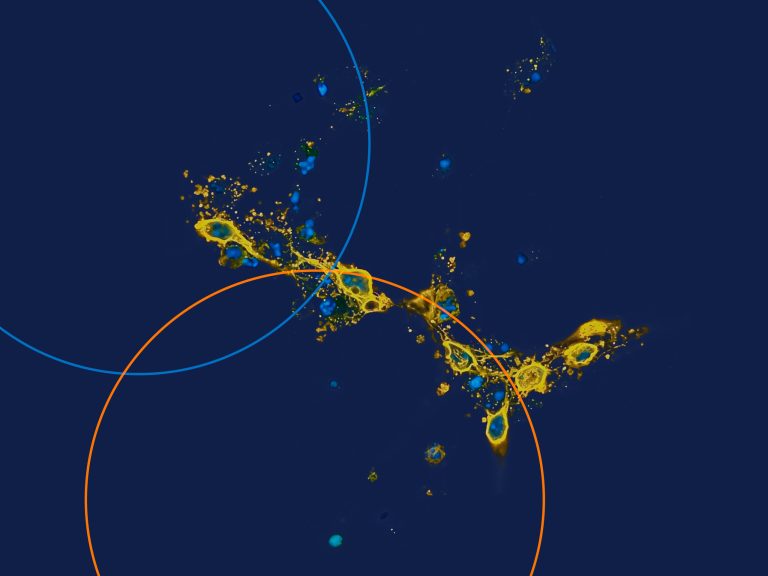 mostra La Terra è blu come un'arancia
