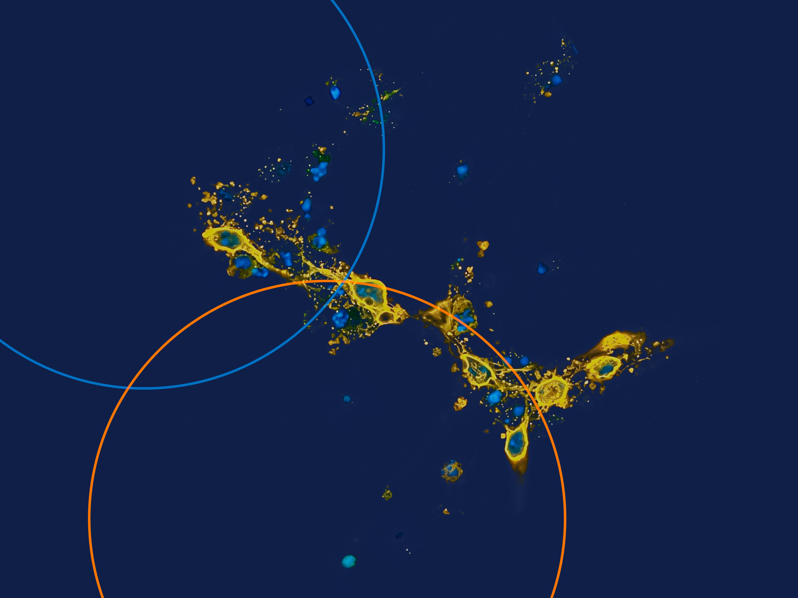 mostra La Terra è blu come un'arancia